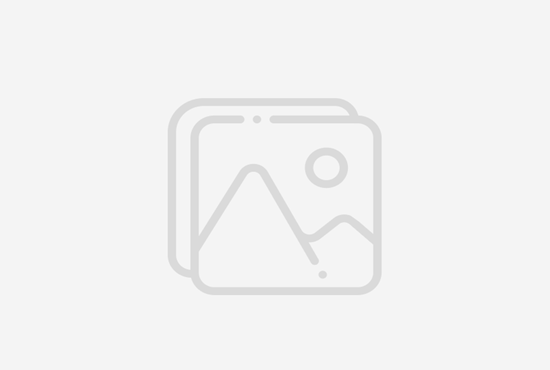 Orlando Travel Guide
