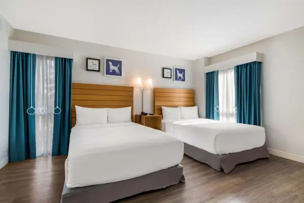 Sonesta ES Suites Orlando - International Drive 6